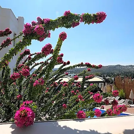 Ξενοδοχείο Queen Boutique